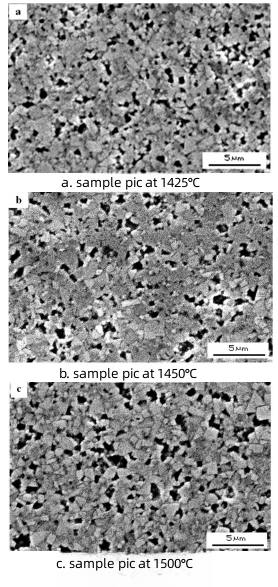 sample pic of TaC carbide