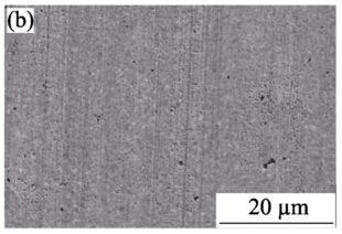Effects of TiC and TaC on Microstructure and Properties of Binderless WC carbides 6