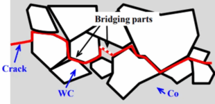 Fatigue Behavior and Short Surface Crack Characteristics of Cemented Carbides 4 Fatigue Behavior and Short Surface Crack Characteristics of Cemented Carbides 3
