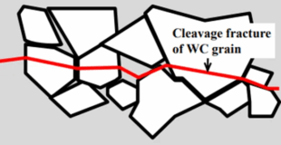 Fatigue Behavior and Short Surface Crack Characteristics of Cemented Carbides 3 Fatigue Behavior and Short Surface Crack Characteristics of Cemented Carbides 2