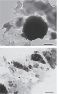 Application of Plasma Milling Technology in Cemented Carbide Preparation 6