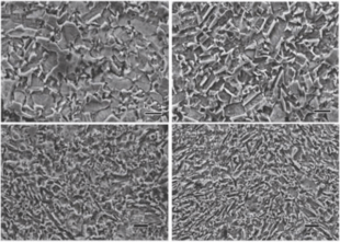 Application of Plasma Milling Technology in Cemented Carbide Preparation 10