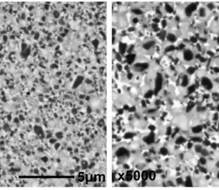Carbide and Cermet: Which Material Makes Your High-Performance Products? 6