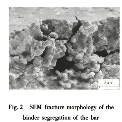 Carbide Rod Bars: Research on Binder Design and Removal Technology for Extrusion Molding 8 Carbide Rod Bars: Research on Binder Design and Removal Technology for Extrusion Molding 7