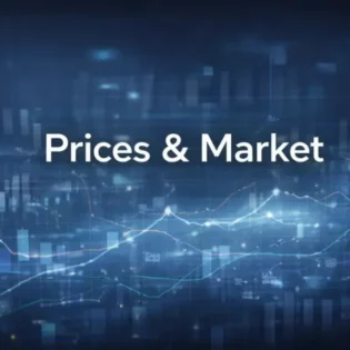 The Upcoming Restructuring of the Global Tungsten Industry Chain with Historic Tungsten Price Surge in 2026 13