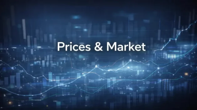 The Upcoming Restructuring of the Global Tungsten Industry Chain with Historic Tungsten Price Surge in 2026 5