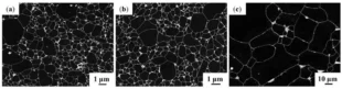 Cemented Carbide Grain Growth Mechanism and Influencing Factors 2